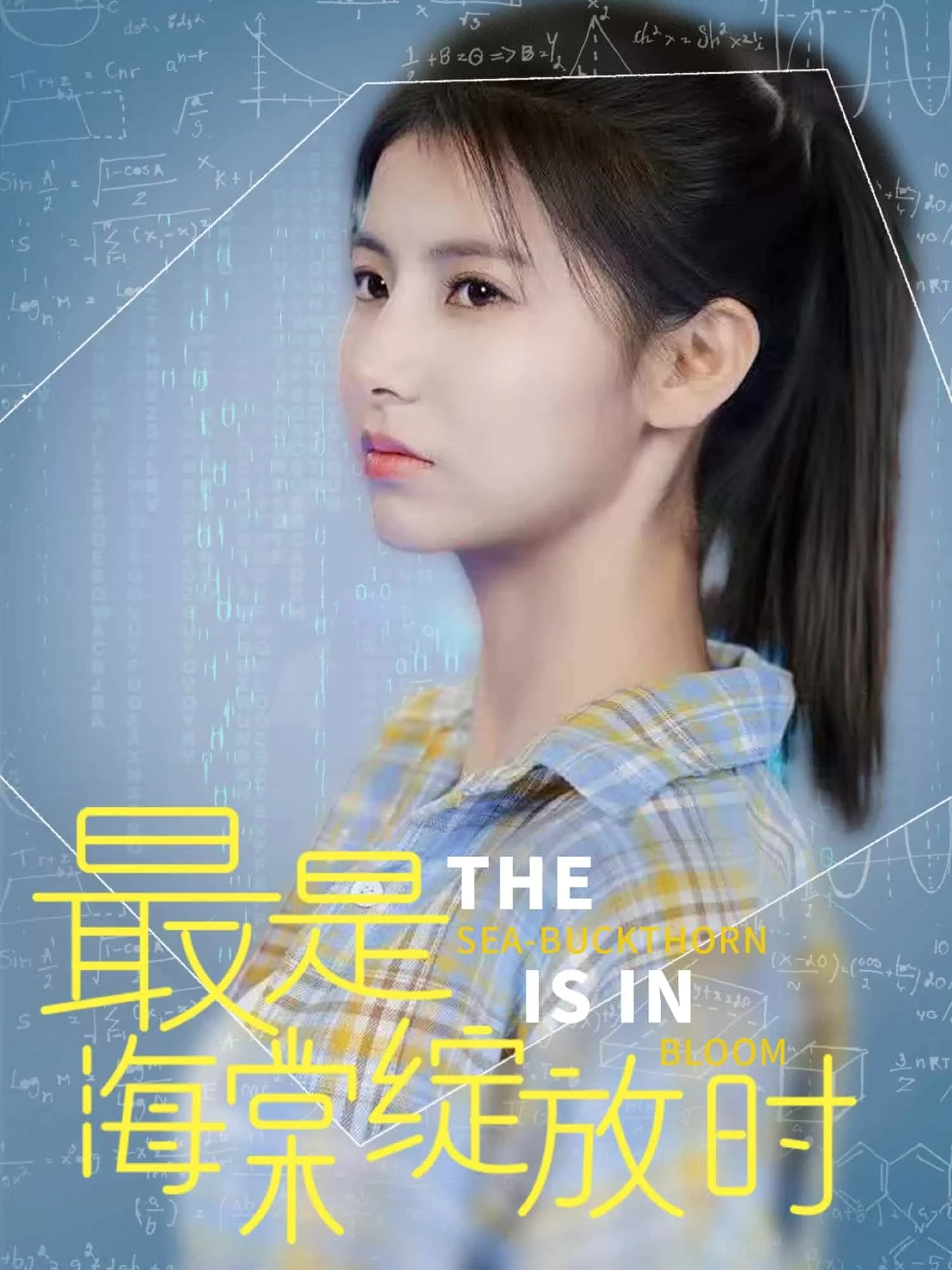 最是海棠绽放时